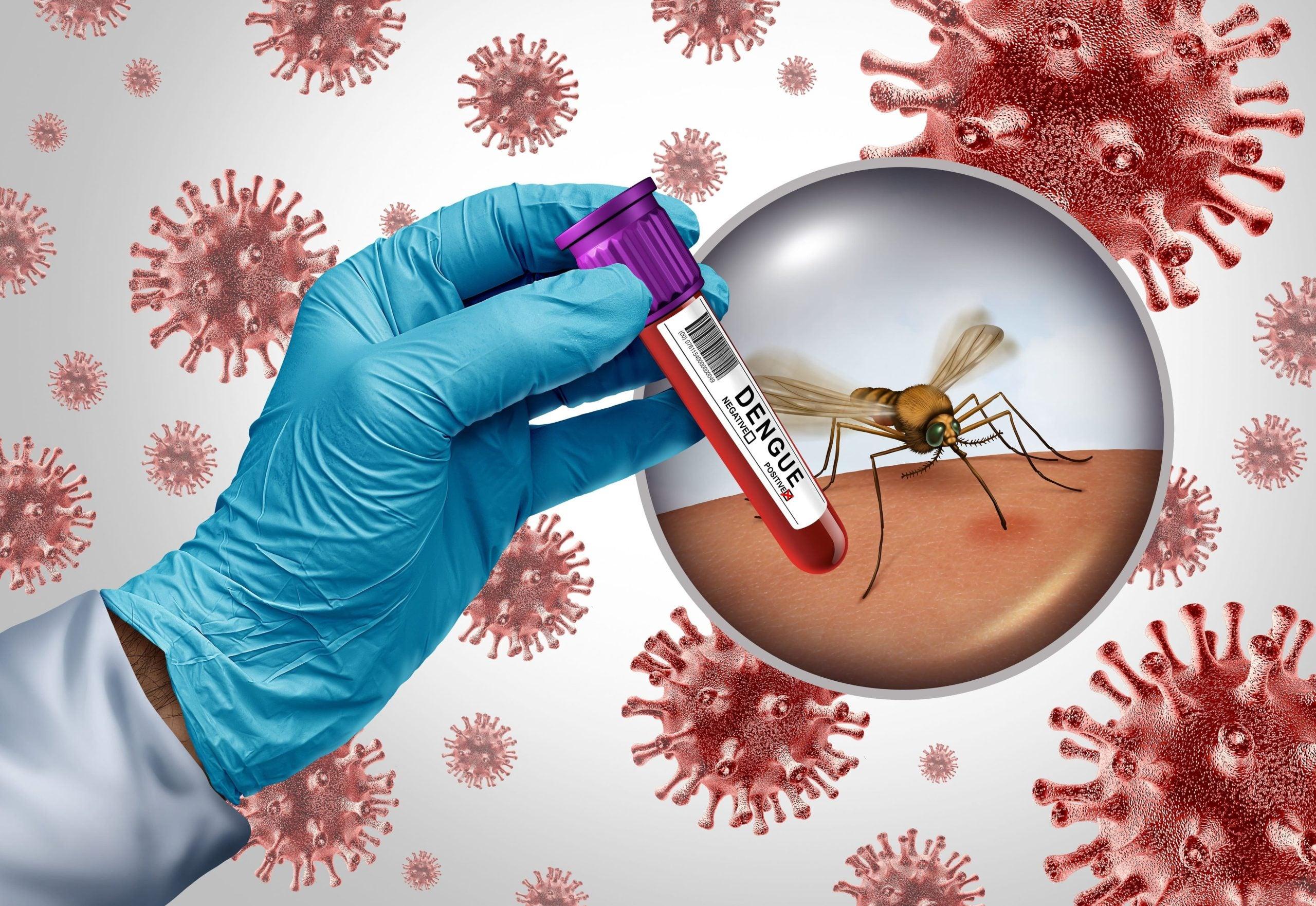 Dengue Spreading Across 72 Districts: Stay Safe, Stop Mosquito Breeding