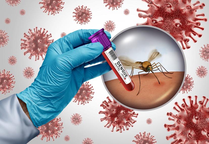 Dengue Spreading Across 72 Districts: Stay Safe, Stop Mosquito Breeding