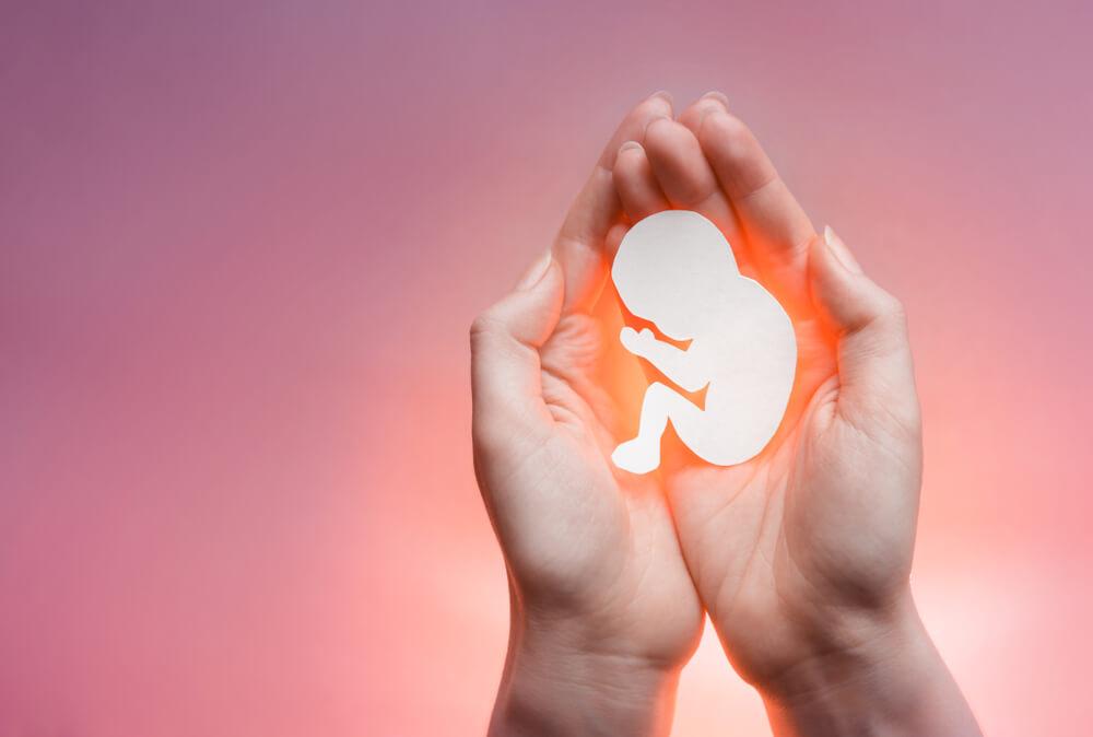 Government Seeks Feedback on Proposed Abortion Law Amendments