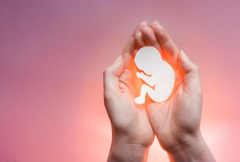 Government Seeks Feedback on Proposed Abortion Law Amendments