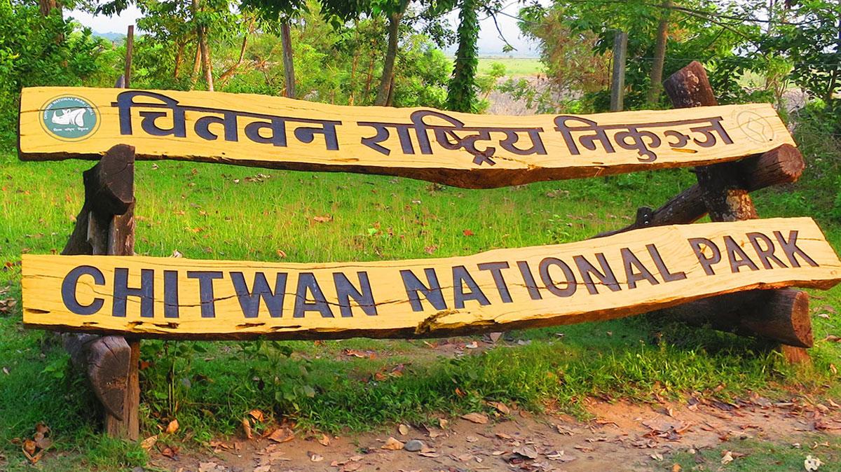 Spy Cameras and Army Patrols to Stop Poaching in Chitwan