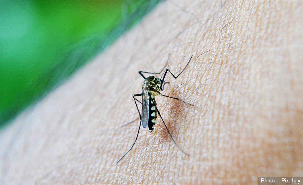 Over 5,300 Dengue Cases Reported Across 75 Districts; Two Deaths Confirmed