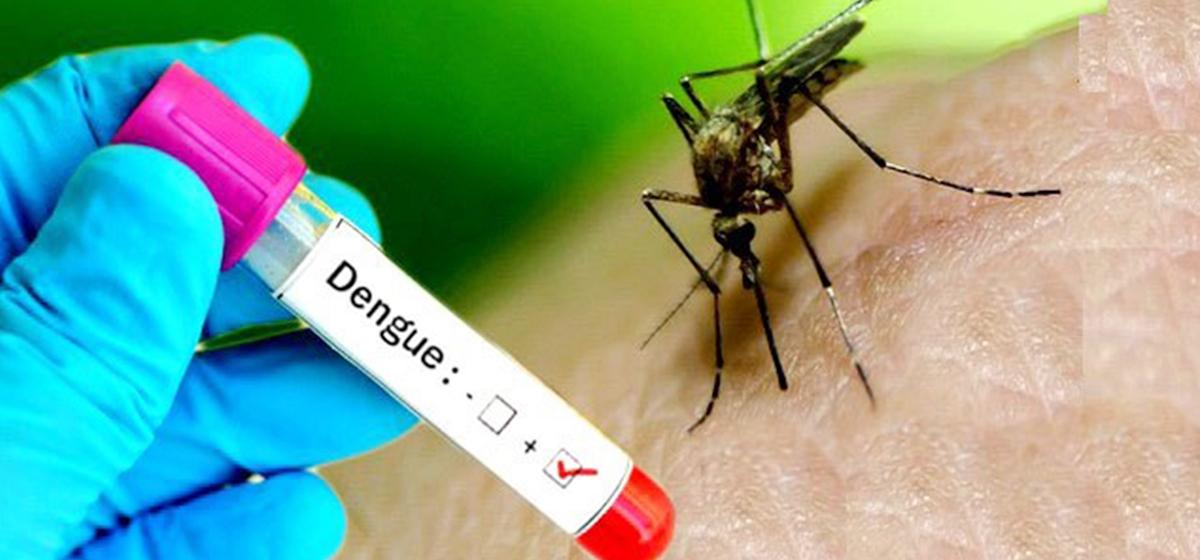 Dengue Cases Cross 5,000 Nationwide, Experts Warn of Festival Risk