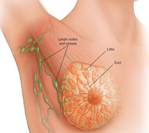 First Ever Breast Cancer Genetic Test Conducted In Nepal