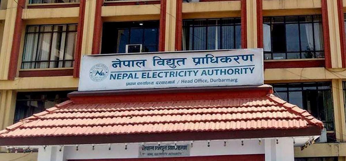 NEA Seeks Private Sector Partners for Four Major Transmission Line Projects