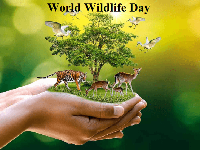 The world celebrates World Wildlife Day Today