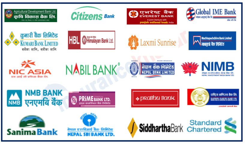 Global IME Tops Profit Chart as Banking Sector Faces 19% Decline