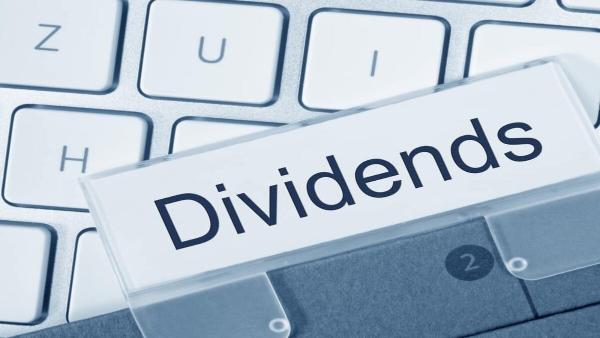 Himalayan Reinsurance Announces 4.75% Dividend