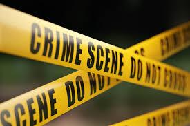 Two Youths Surrender to Police After Brutal Murder in Kailali