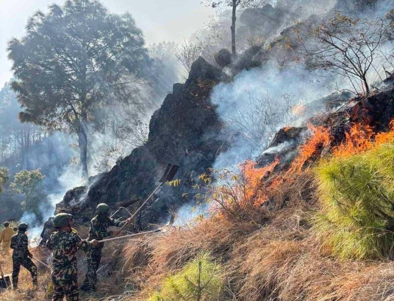 Wildfire in Gorakhnath Community Forest