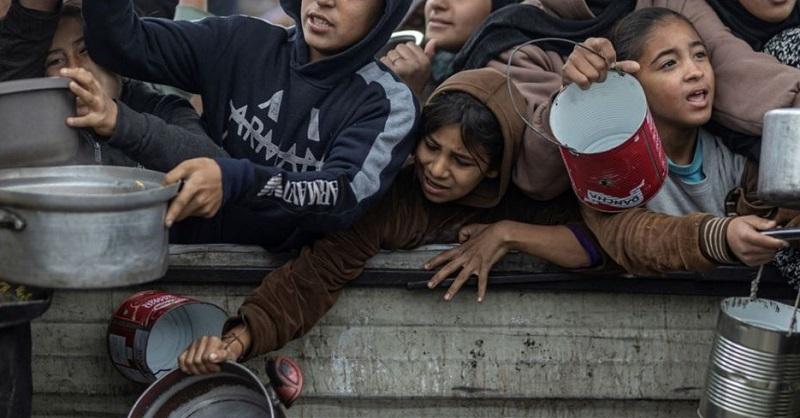 WHO Warns of Alarming Malnutrition Levels in Gaza