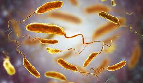 Cholera Outbreak in Birgunj Still Uncontrolled, Source Remains Unknown