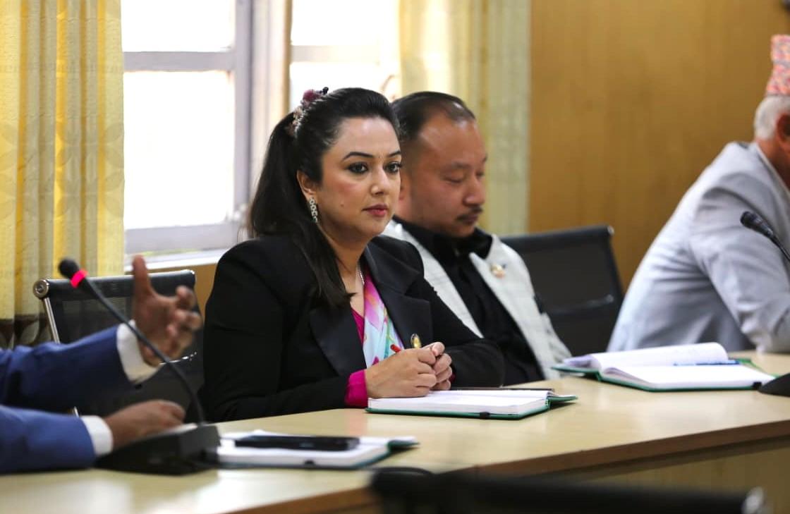 Lawmaker raises demand for diplomatic passport; Speaker holds discussion