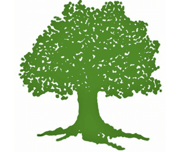 Nepali Congress Leads Both Direct and PR Votes in Bajura District