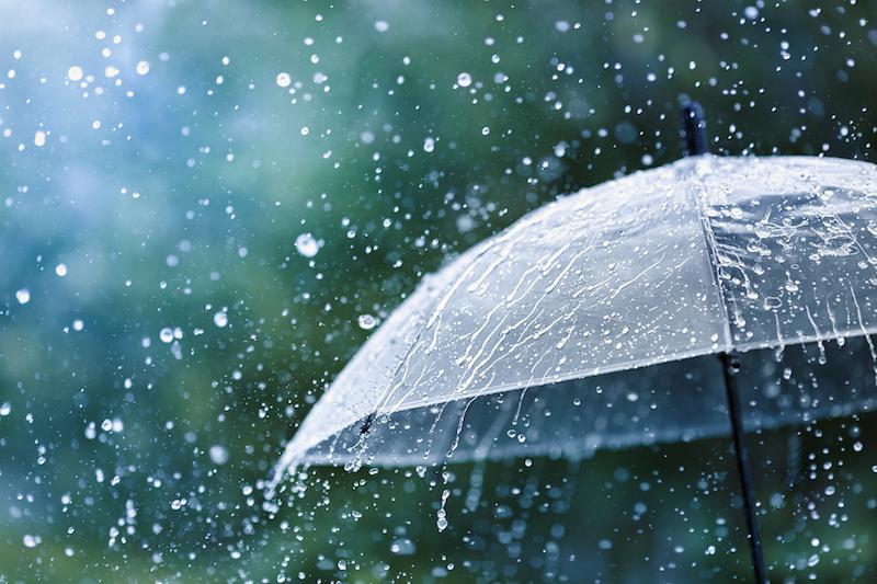 Monsoon Brings Widespread Rainfall Across Nepal