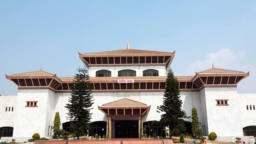 Professor and Students from Techspire College Detained for Drone Incident at Parliament