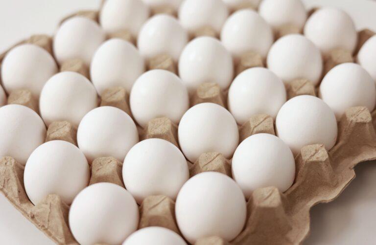 Egg Prices Rise Ahead of HoR Election