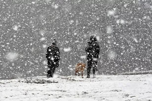 Heavy Snowfall and Rain Likely in Several Regions, Meteorology Department Warns